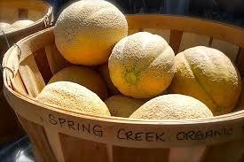 CCFM spring creek organic produce.jpg