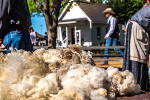 Wool Detail.jpg