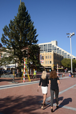 SSq268x.jpg