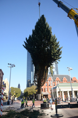 SSq069x.jpg