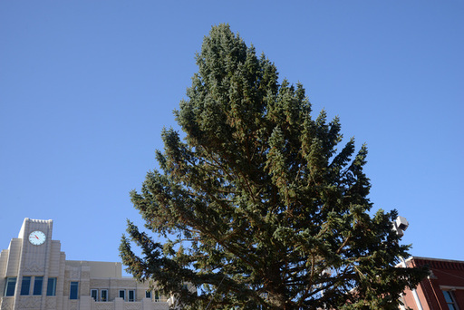 SSq294x.jpg