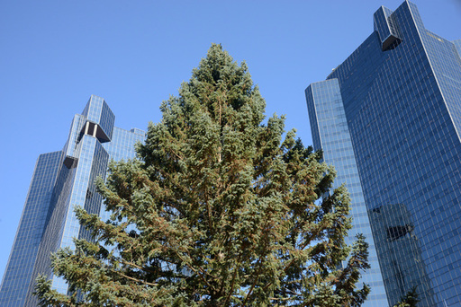 SSq279x.jpg