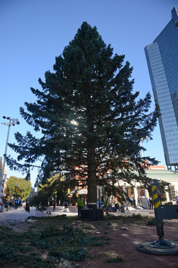 SSq148x.jpg