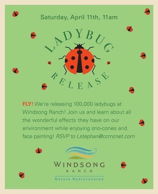 Ladybugs.jpg