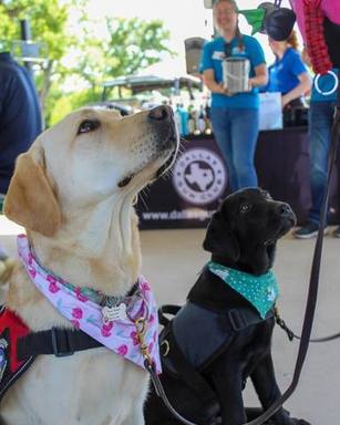 Liberty & puppy - Patriot PAWS.jpg