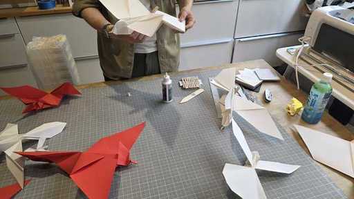 Doves and Cardinals for SOAR